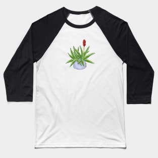 Aloe Baseball T-Shirt